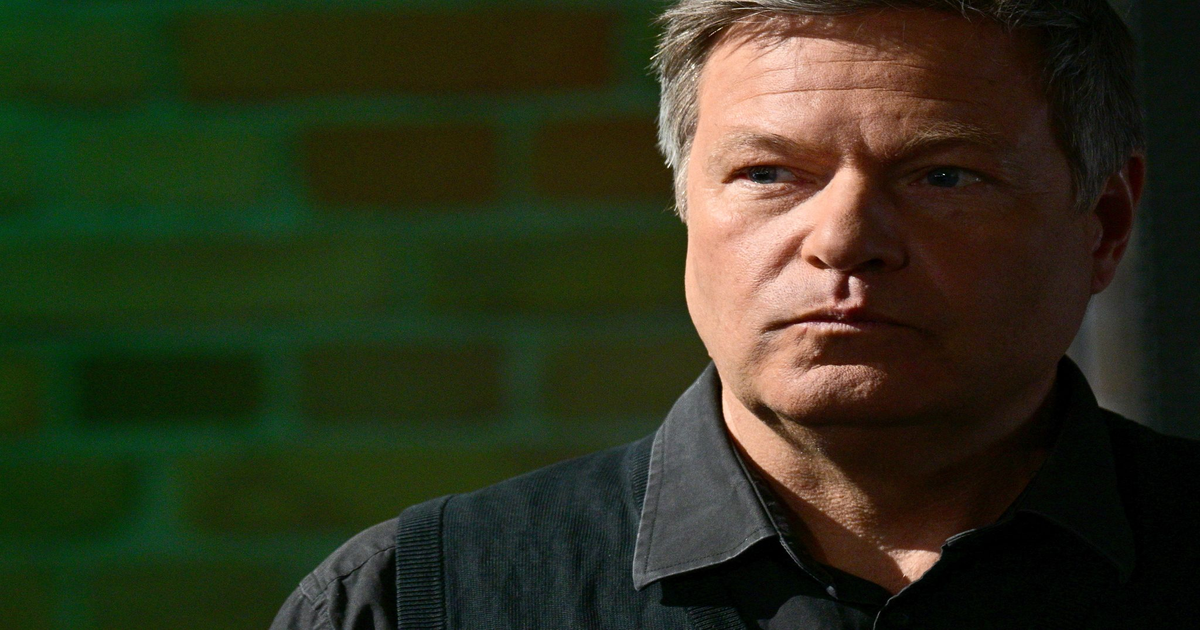 Habeck zieht sich aus Politik zurück - Wechsel nach Berkeley