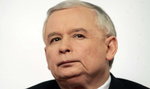 Kaczyński karmi nowego kota winogronami