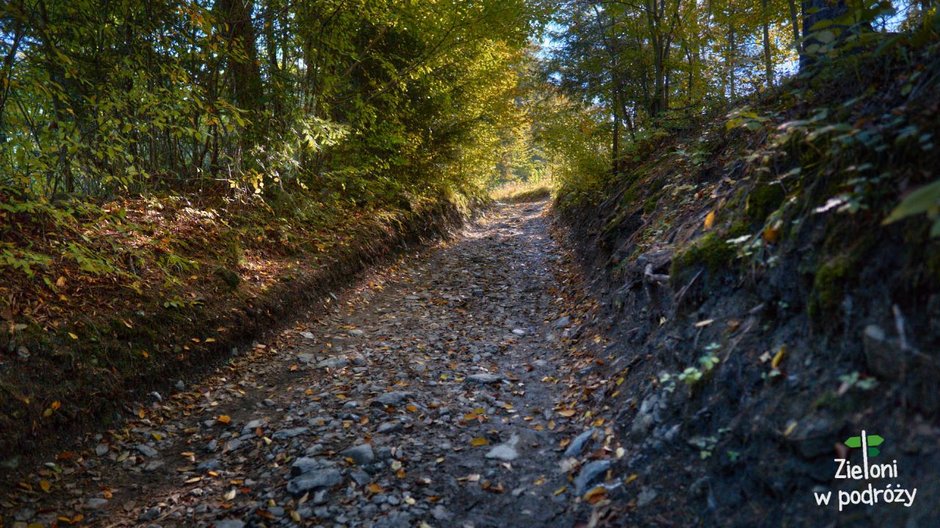 Początkowy fragment szlaku