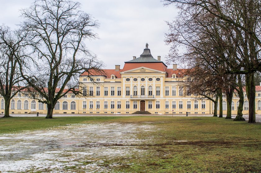 Pałac w Rogalinie znów otwarty dla zwiedzających