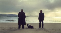 Możesz zamieszkać na wyspie z "Duchów Inisherin" i dostać 80 tys. euro. Warunek?