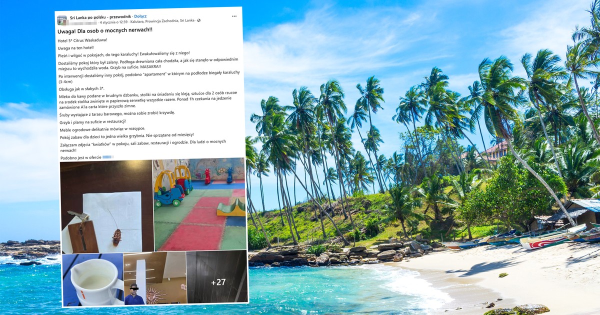 Poleciał na wczasy do egzotycznego raju, wrócił załamany. "To dla ludzi o mocnych nerwach"