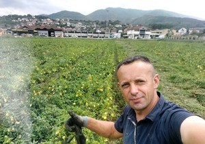 Njegoš Stojadinović