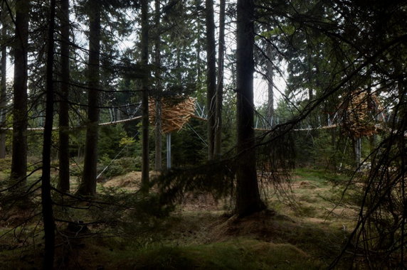 W Karkonoszach zbudowali park rozrywki z ogromnymi rzeźbami. Oto Pecka Playspace