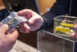 Marihuana tylko dla mieszkańców. Amsterdam nie chce już narkoturystów