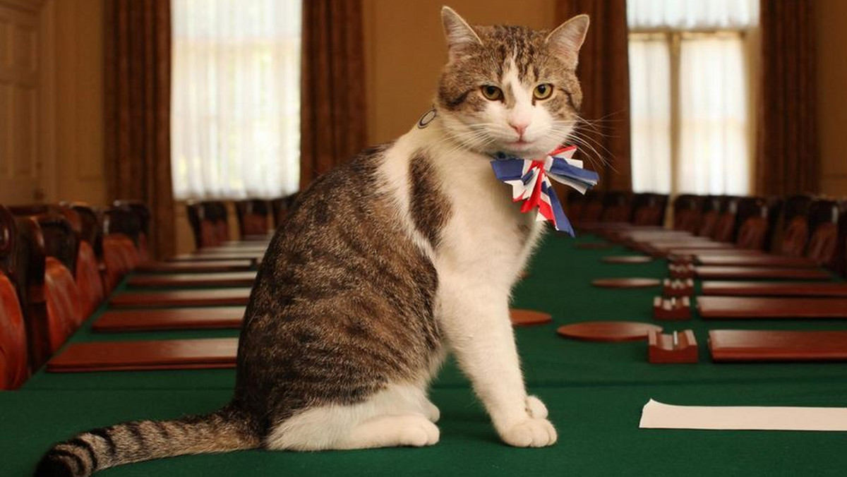 Kot Larry przegonił lisa z Downing Street