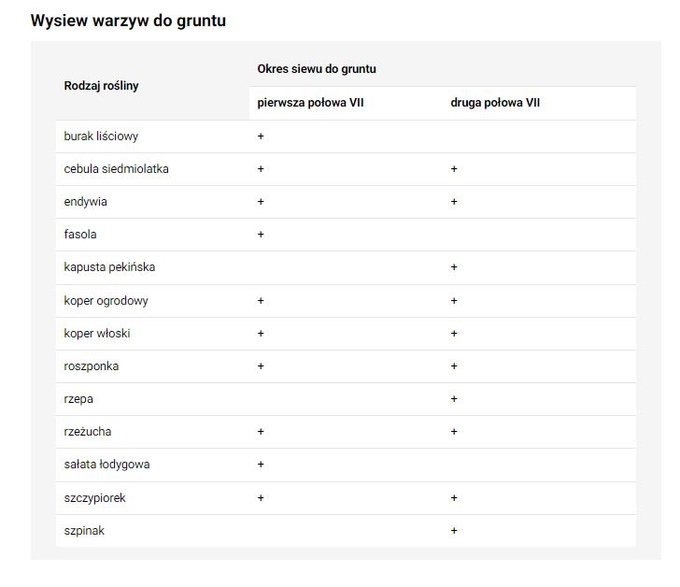 Wysiew warzyw do gruntu - fajnyogród.pl