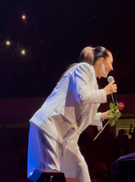 Ceca Ražnatović