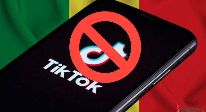 Countries that have banned TikTok [Pulse Senegal]