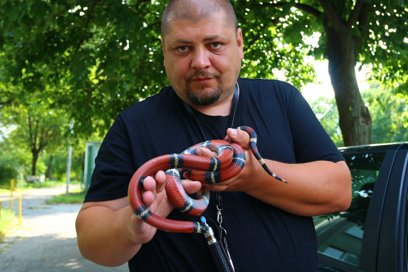 Panika: wąż w Lublinie