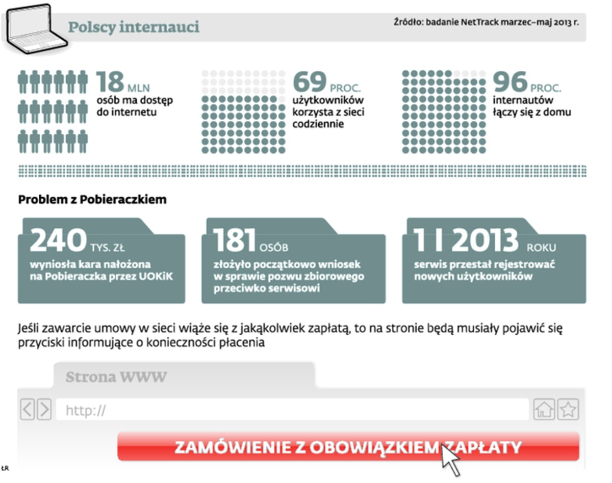 Polscy internauci