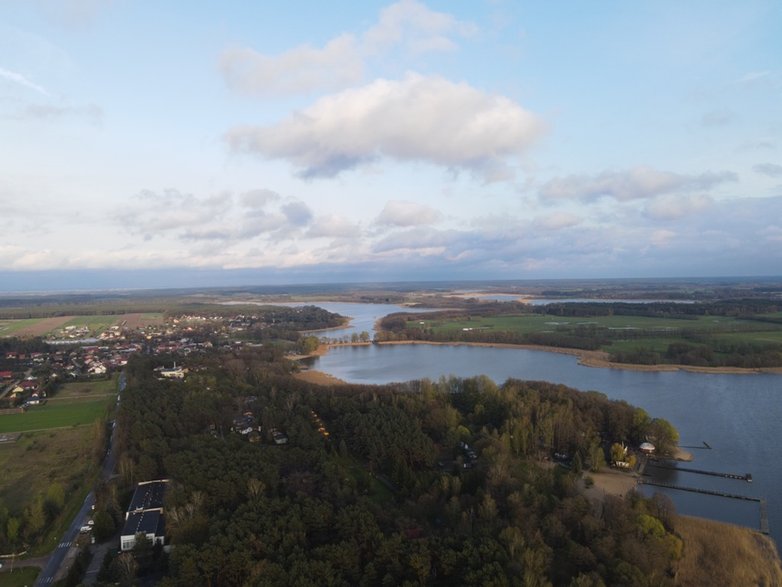 Wieleń Zaobrzański fot. Kamil Śliwa