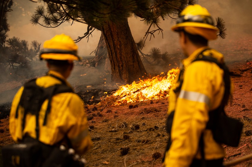 Požari u Kaliforniji - Nacionalna šuma Anđeles