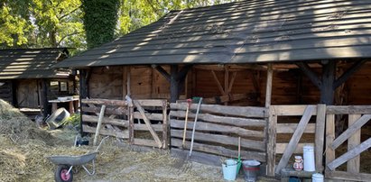 "Farma". Koniec sielanki i pierwsze konflikty. Jedna z uczestniczek wpadła na nietypowy pomysł, pozostali aż zaniemówili z wrażenia