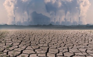 Mniejsza podaż zbóż i warzyw z powodu suszy może przełożyć się na ceny żywności