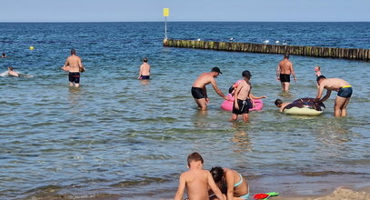 Niebezpieczna sytuacja nad morzem. Meduzy w Bałtyku "atakują" turystów. Setki poparzonych