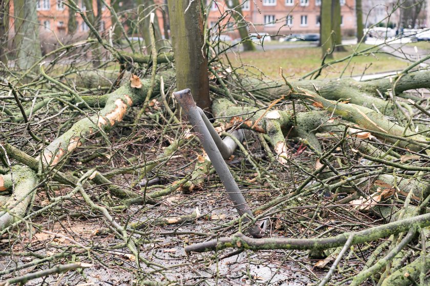 Szalejąca wichura w Szczecinie i w okolicach