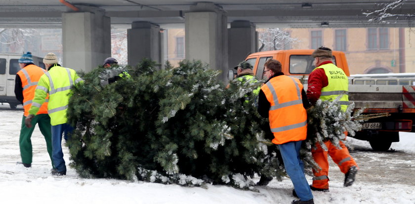 Świąteczne choinki posprząta miasto