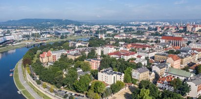 W Krakowie darli o to koty. Zaczęło się 1 lipca. Było warto?