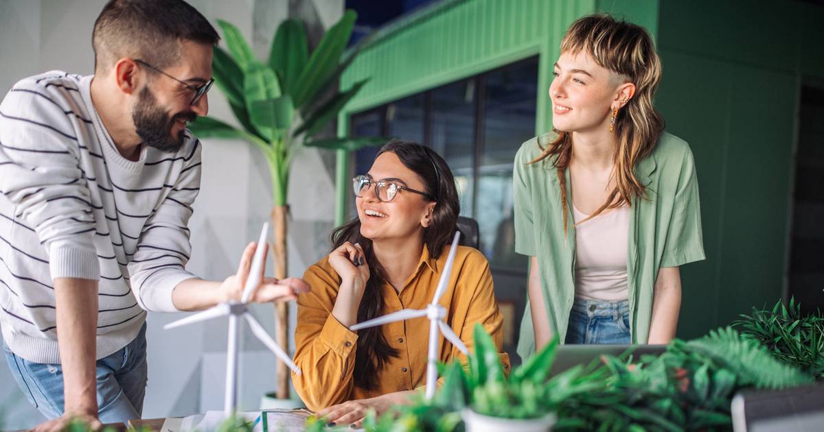 Chcesz pracować w zrównoważonym rozwoju? Zgłoś się do bezpłatnego programu edukacyjnego