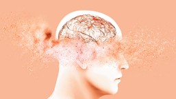 jak działa pamięć i co to oznacza dla ucznia i rodzica