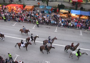 661858_defile-2014.-1-s.mirkovic