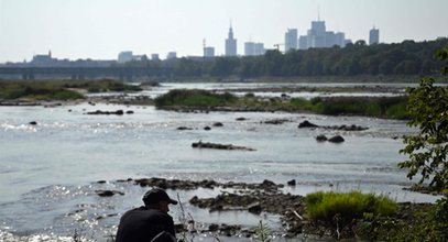 Wisła odsłania swoje skarby. To leżało na dnie wiele lat