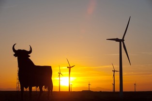 Inwestycja w farmę wiatrową to dużo problemów