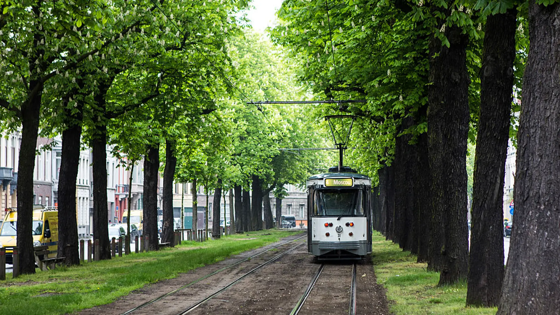 W Warszawie może powstać 83 ha terenów zielonych. To więcej niż Łazienki Królewskie