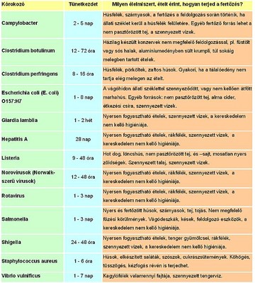 etelmergezes-kis-d00001C3615a56c79d09f