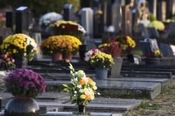 Ceny kwiatów na cmentarz przed 1 listopada 2025 roku. Ile kosztują żywe, a ile sztuczne kwiaty na cmentarz przed Wszystkimi Świętymi? Ceny wyższe niż w latach poprzednich...