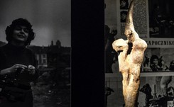 Ostatni raz widziano go w 1961 roku. Zaginiony 'Ptak' Aliny Szapocznikow odnaleziony