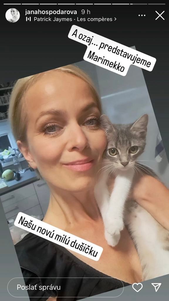 Hospodárová má nové mačiatko.