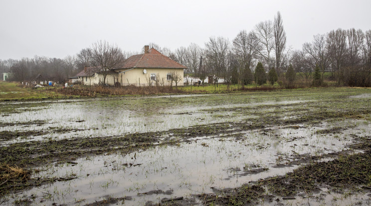 Belvíz Békés megyében - Fotó: MTI Rosta Tibor