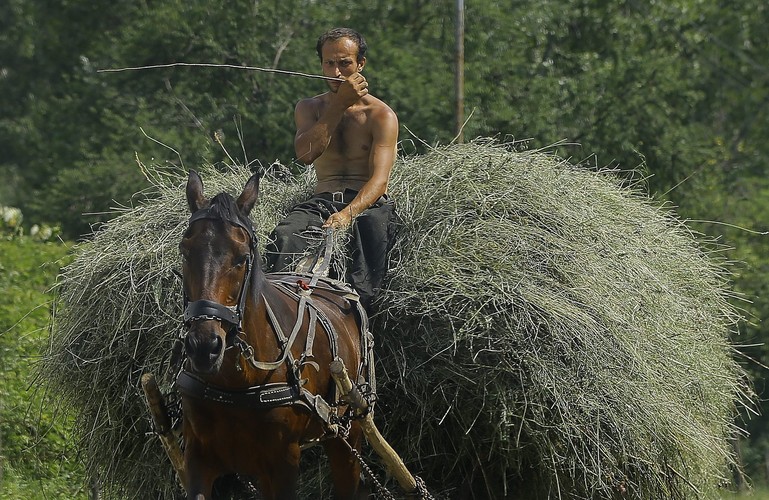 Krajobrazy w wiosce Magura w rumuńskiej Transylwanii