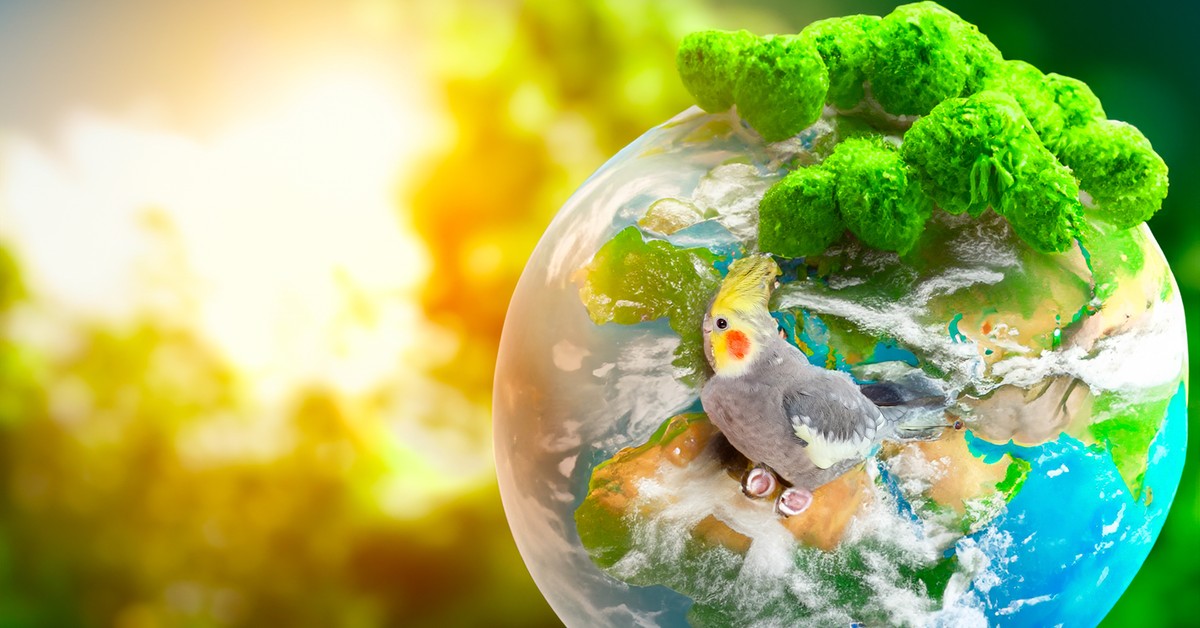 Przedsiębiorcy krytykują projekt ustawy o ROP