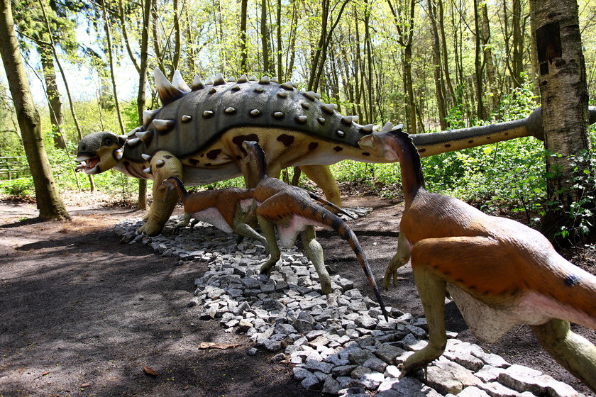 Łeba Park zaprasza do świata dinozaurów