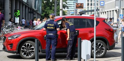 Absurd we Wrocławiu. Wezwała na pomoc strażników. Oniemiała, gdy zobaczyła, o co muszą prosić przełożonego