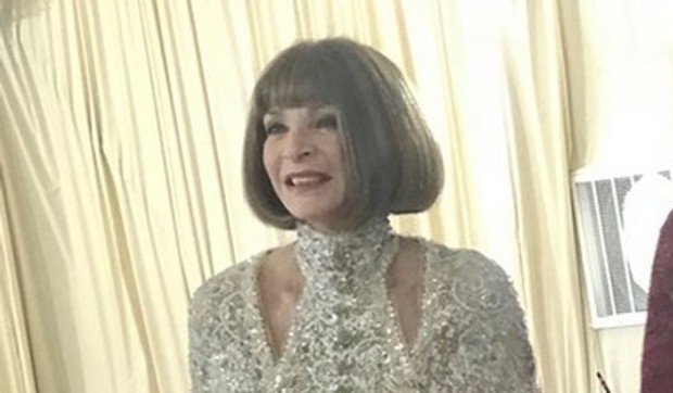 Ana Vintur