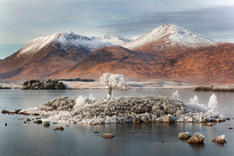 "Duch Rannoch Moor"