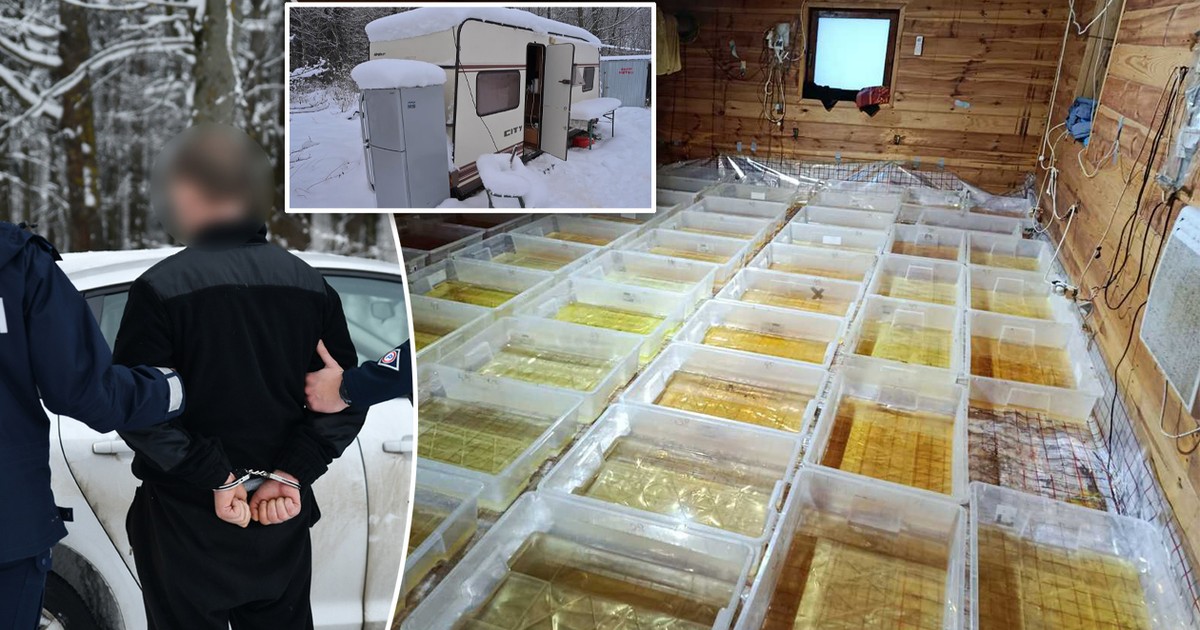 Bimber to przeszłość. Teraz Podlasie gotuje "kryształ" wart 36 mln zł