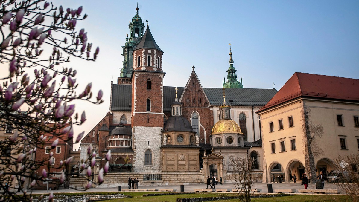 On seplenił i uchodził za mało inteligentnego, ona miała zdeformowaną sylwetkę i głowę przechyloną na jedną stronę. Razem stworzyli jeden z najpotężniejszych domów królewskich w Europie. Rządzili Rzeczpospolitą prawie czterdzieści lat.