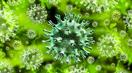 Czy osoba, która przeszła koronawirusa bezobjawowo może nadal zarażać?