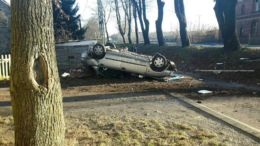 Pijani jechali po wódę. Uderzyli w drzewo i dachowali