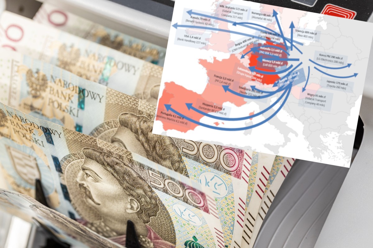 Miliardy z dywidend wypływają z Polski. Oto gdzie trafiają pieniądze [MAPA]