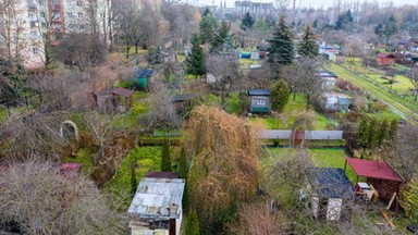 Działkowcy alarmują. Nowe przepisy zagrażają ogródkom