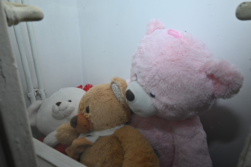 Jelena Golubović stan