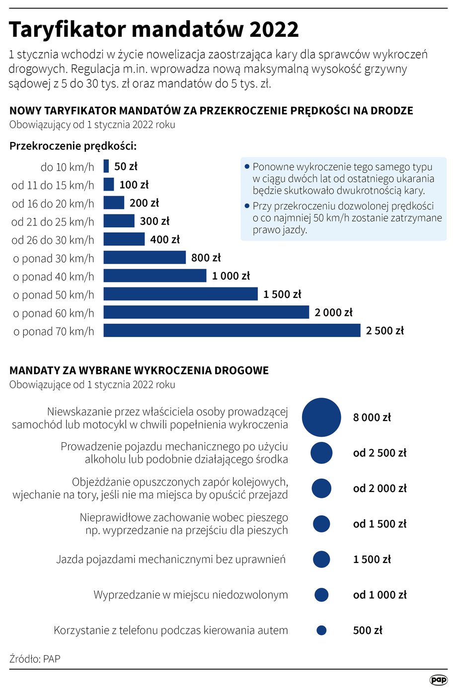 Od stycznia obowiązuje nowy taryfikator mandatów Piraci muszą liczyć się z dużymi wydatkami.