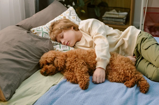 Sa psom ćete imati mirnije i lepše snove, dok god pazite na higijenu