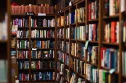 Nagroda im. Janusza Zajdla dla Marty Potockiej i Radka Raka